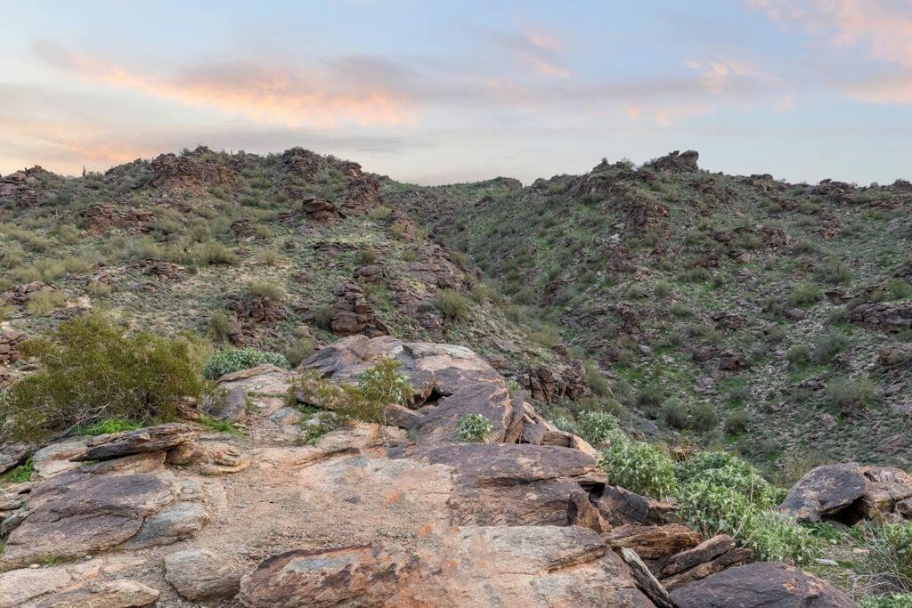 The Hummingbird House, Sauna & Mountain Views! Phoenix Luaran gambar