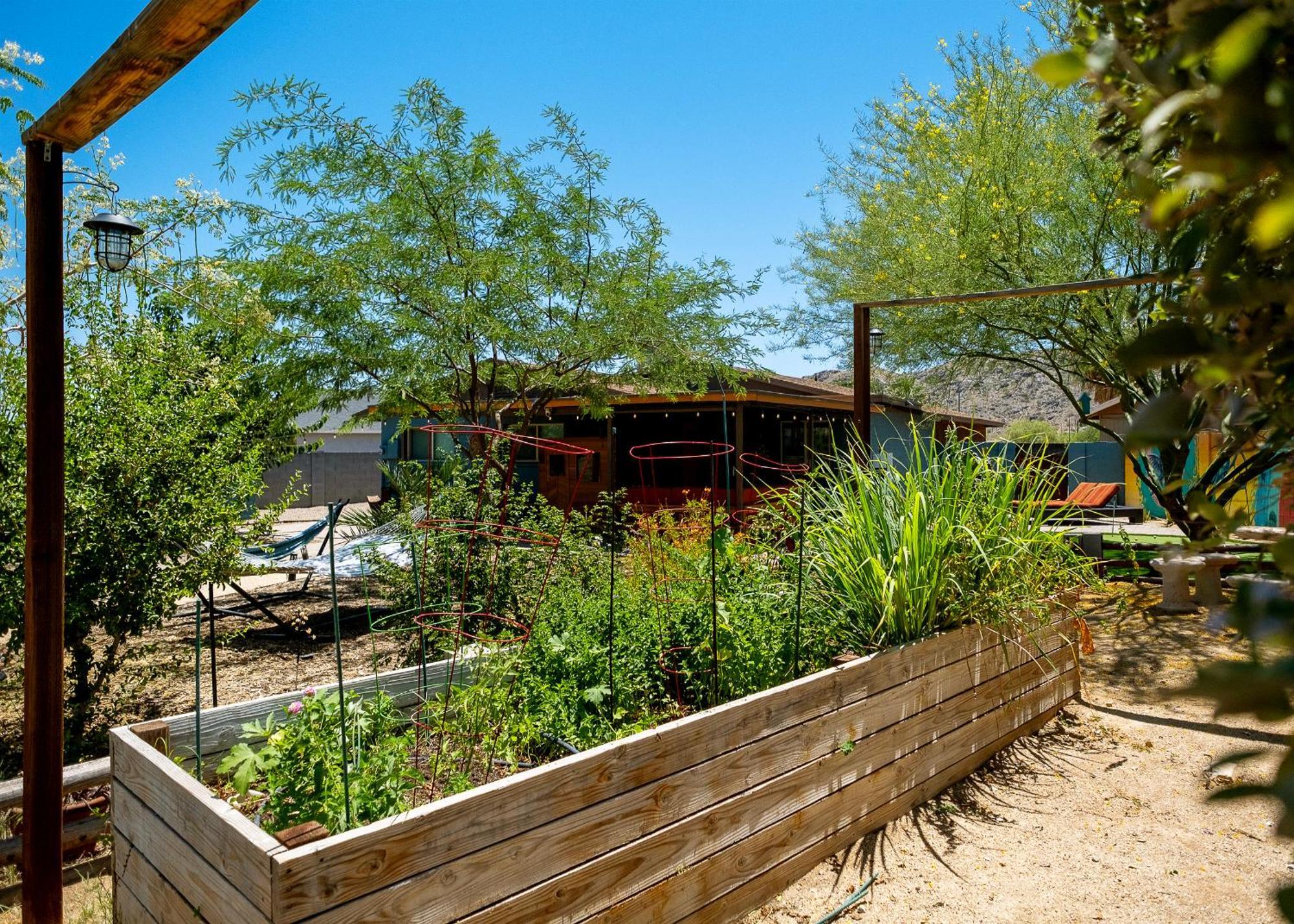 The Hummingbird House, Sauna & Mountain Views! Phoenix Luaran gambar
